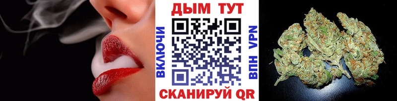 Бошки Шишки сатива  Приволжский 